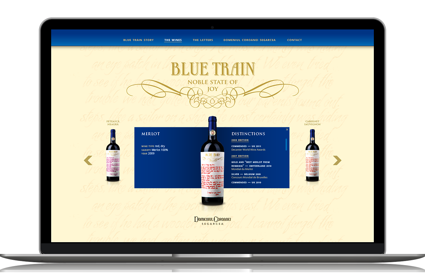 Blue-Train-Packaging-Designed-by-Ciprian-Badalan-website-2