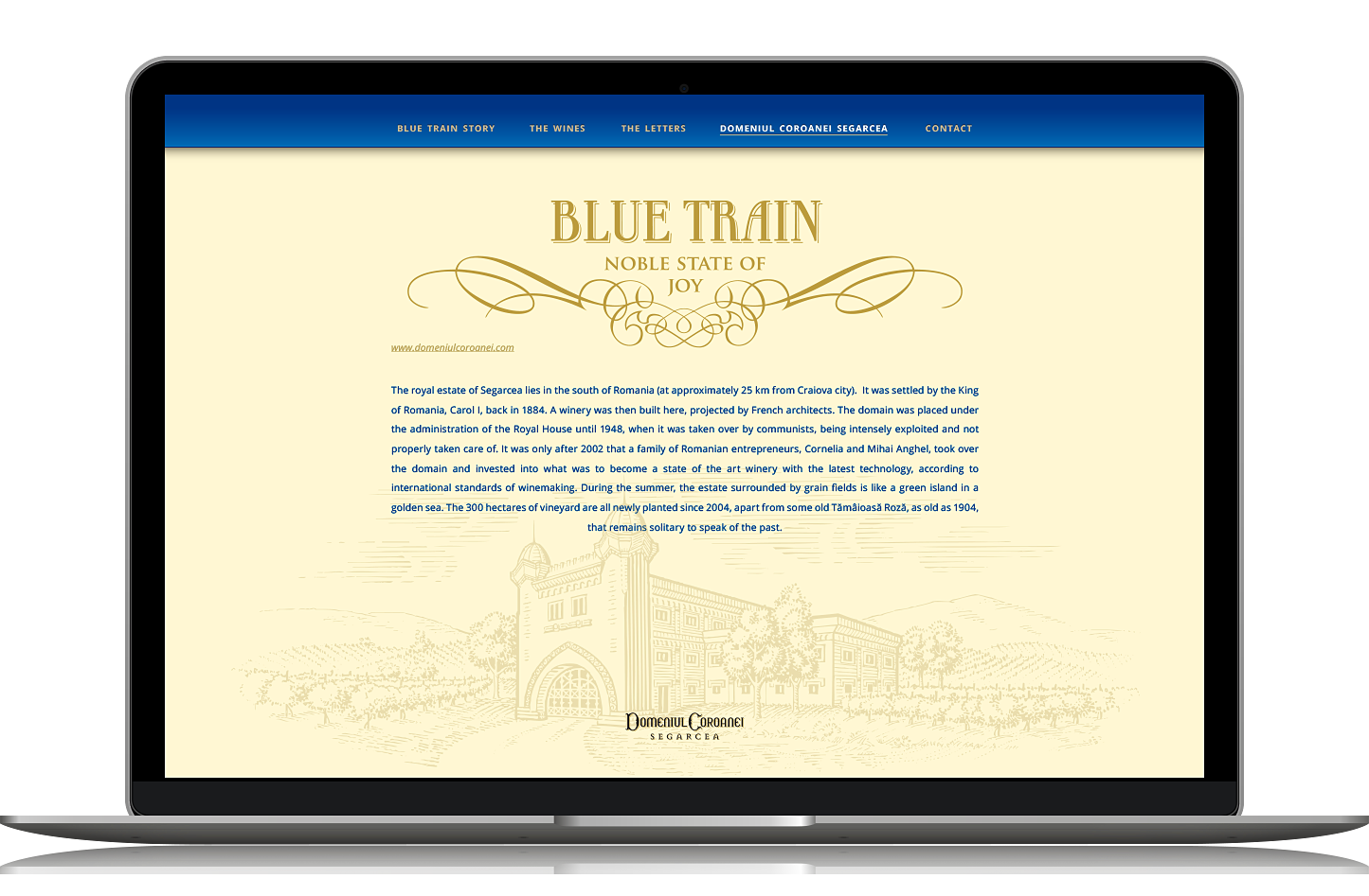 Blue-Train-Packaging-Designed-by-Ciprian-Badalan-website-4
