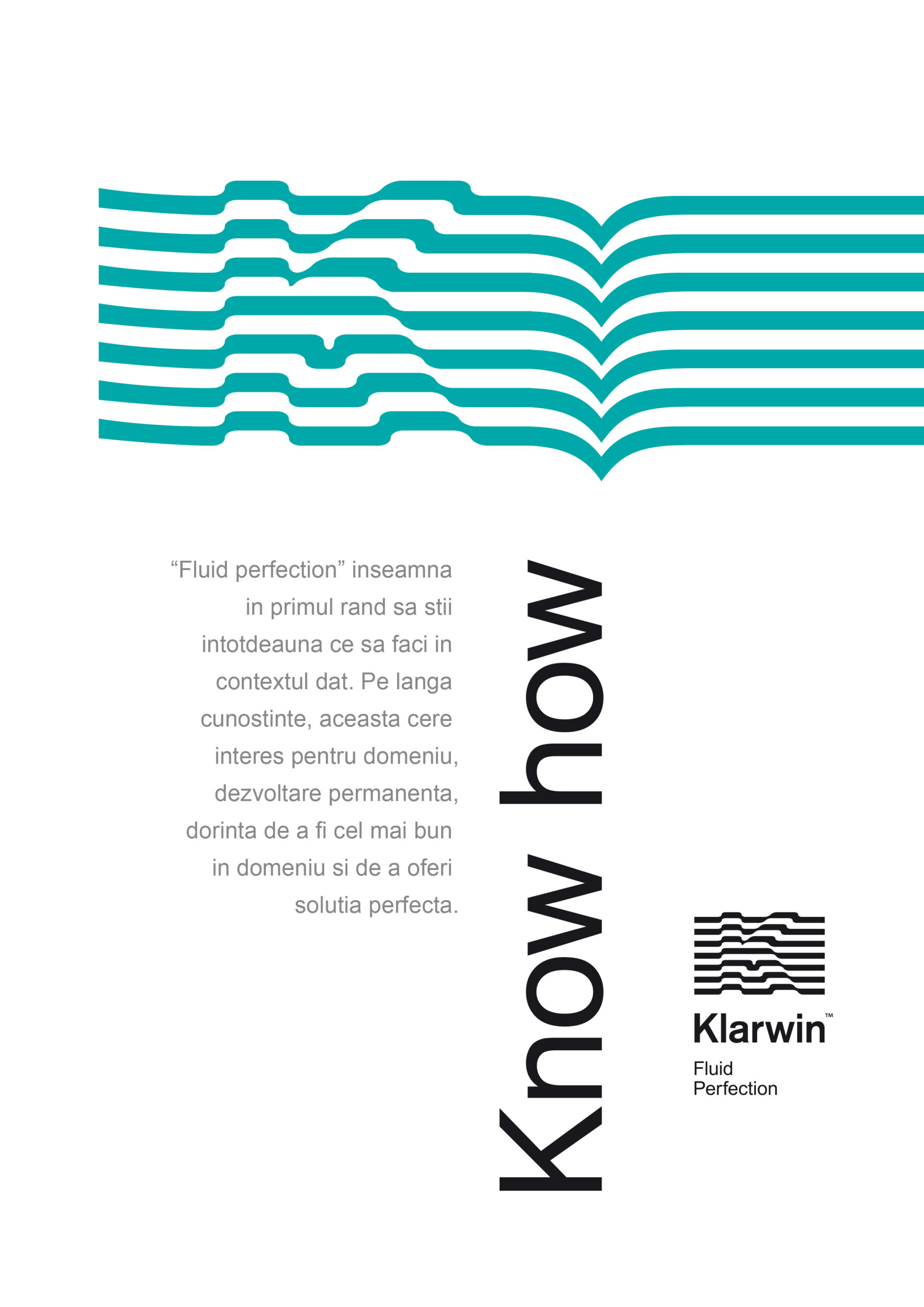 Klarwin-Rebranding-Designed-by-Ciprian-Badalan-values-1