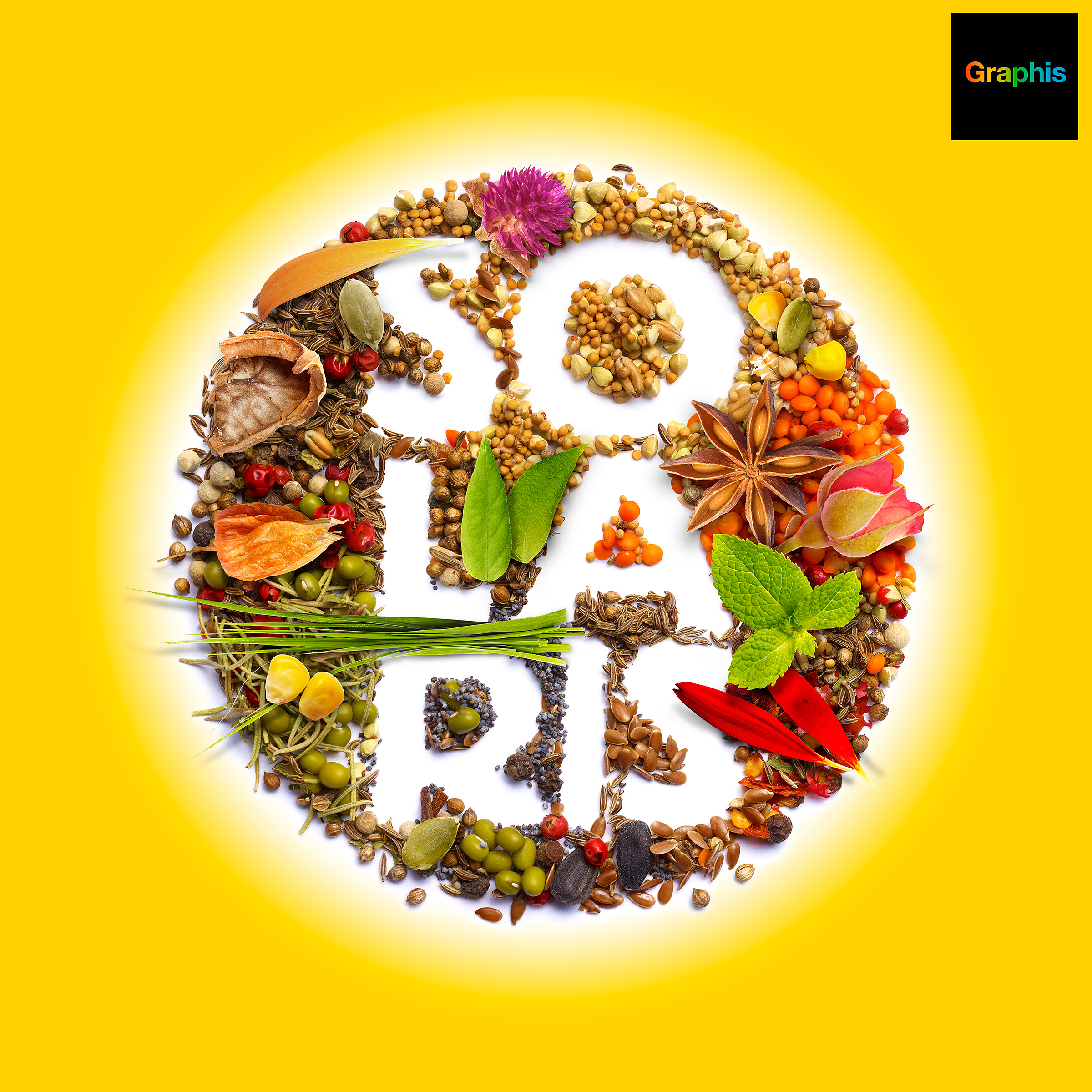 Solaris-Rebranding-Designed-by-Ciprian-Badalan-logo