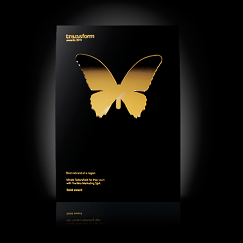 Transform-Gold-Award-Online-Retail-2011-Ciprian-Badalan