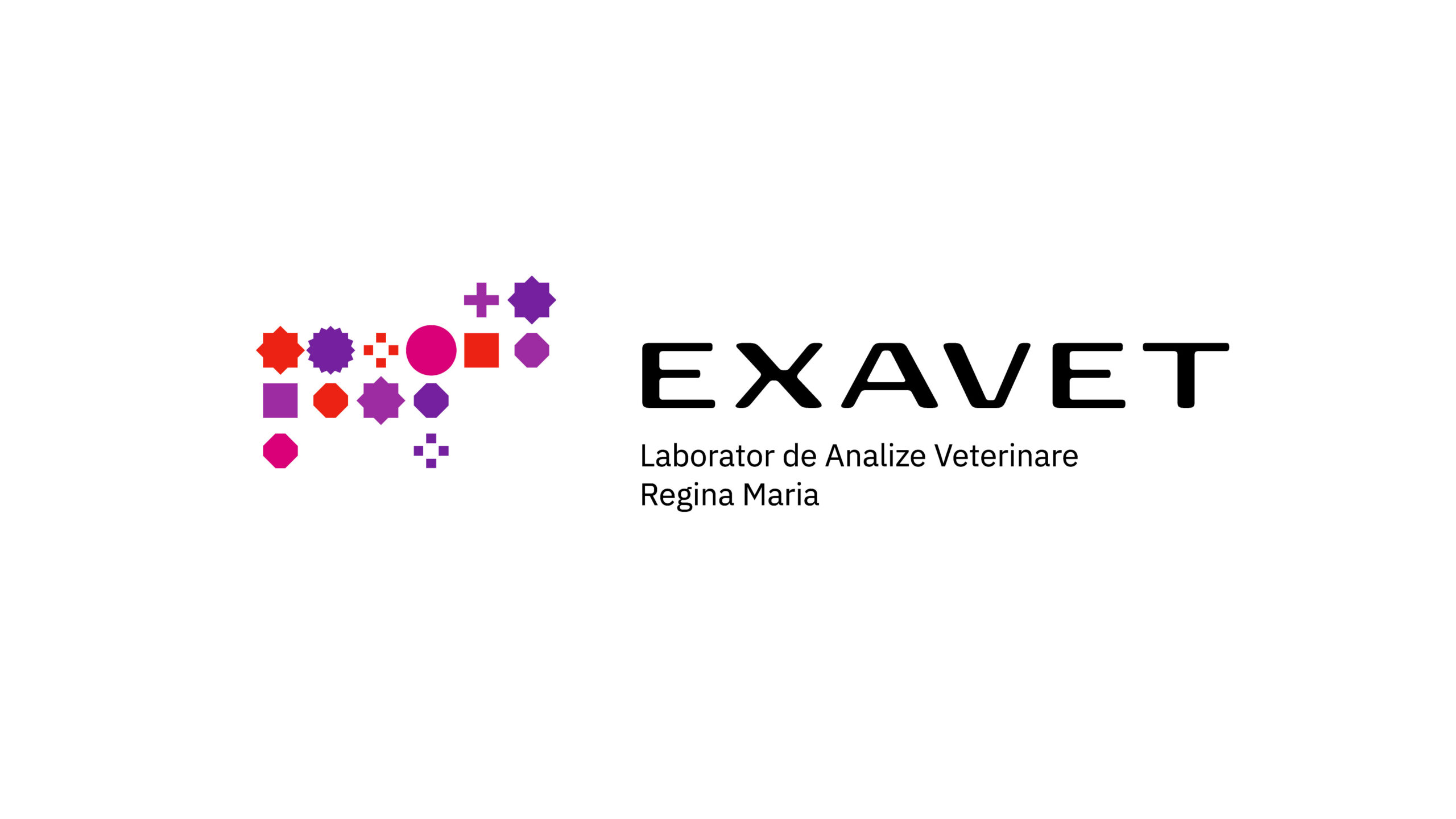 Exavet-Brandient-02