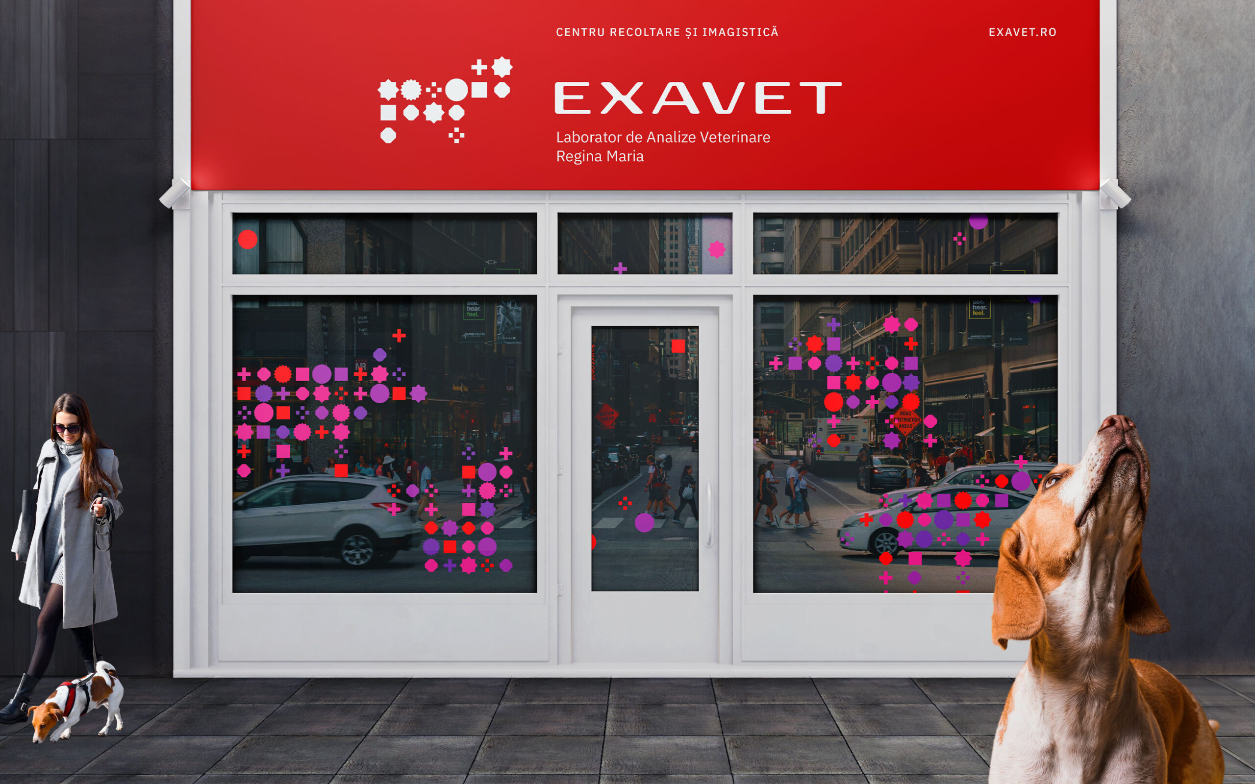 Exavet-Brandient-03