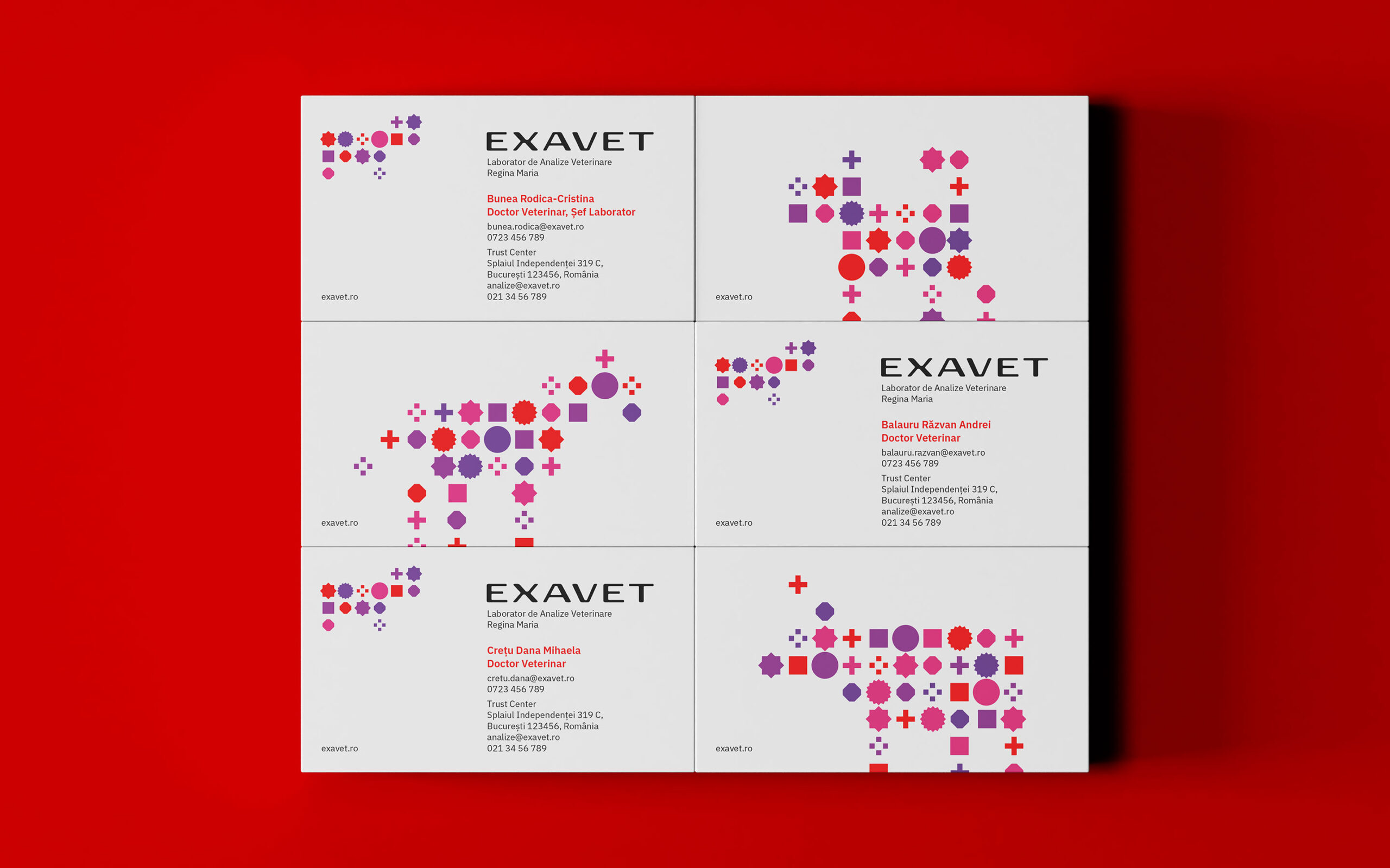 Exavet-Brandient-04