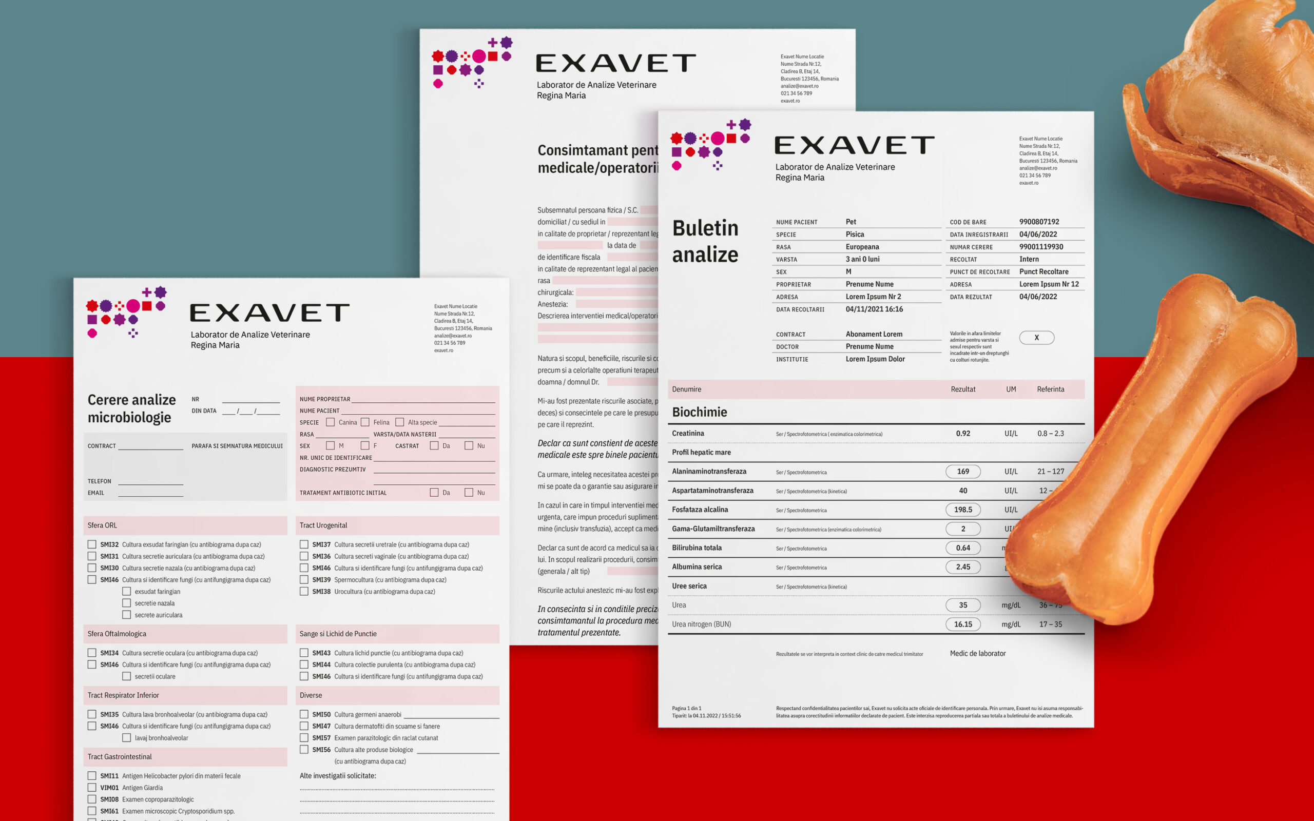 Exavet-Brandient-05