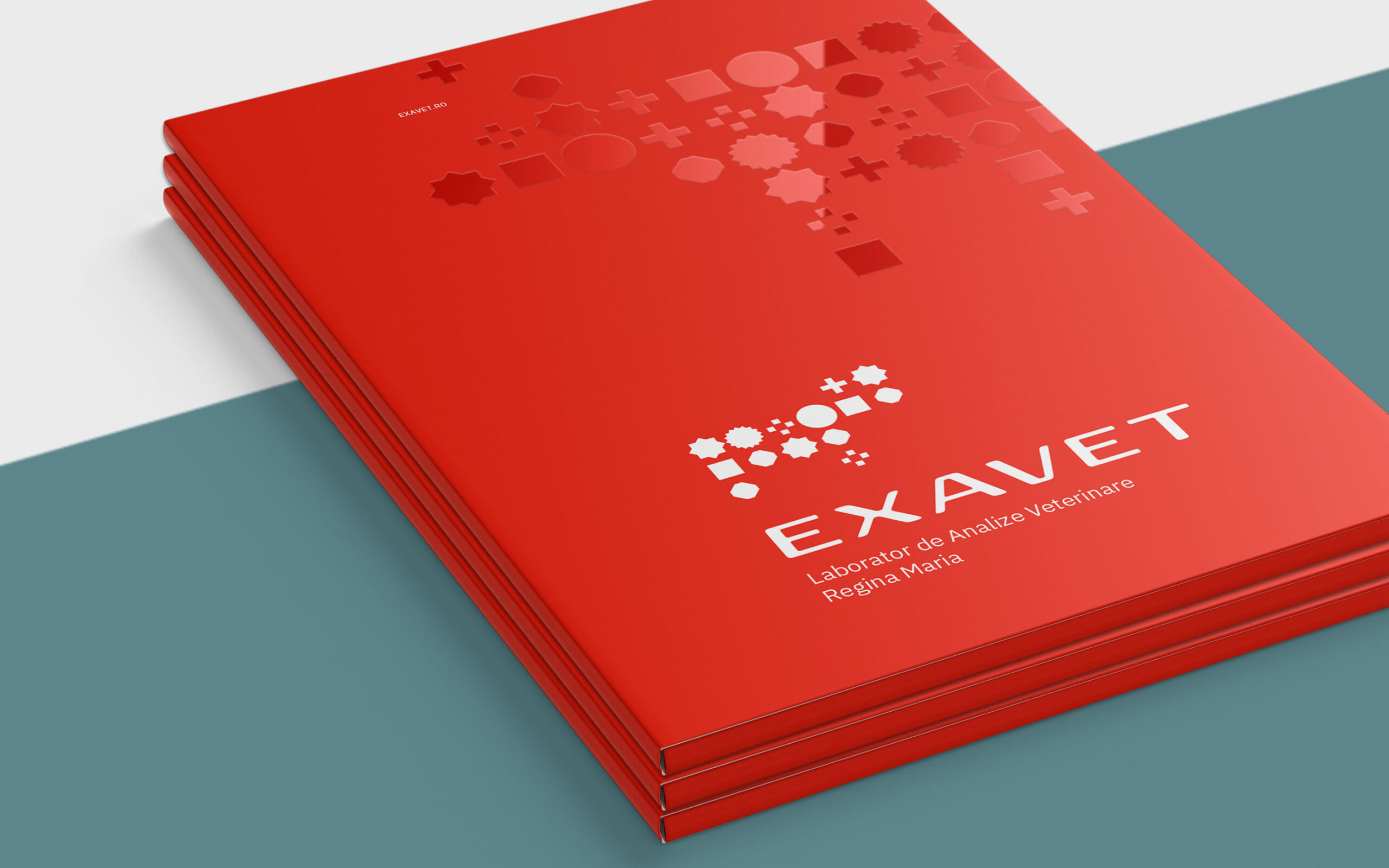 Exavet-Brandient-06