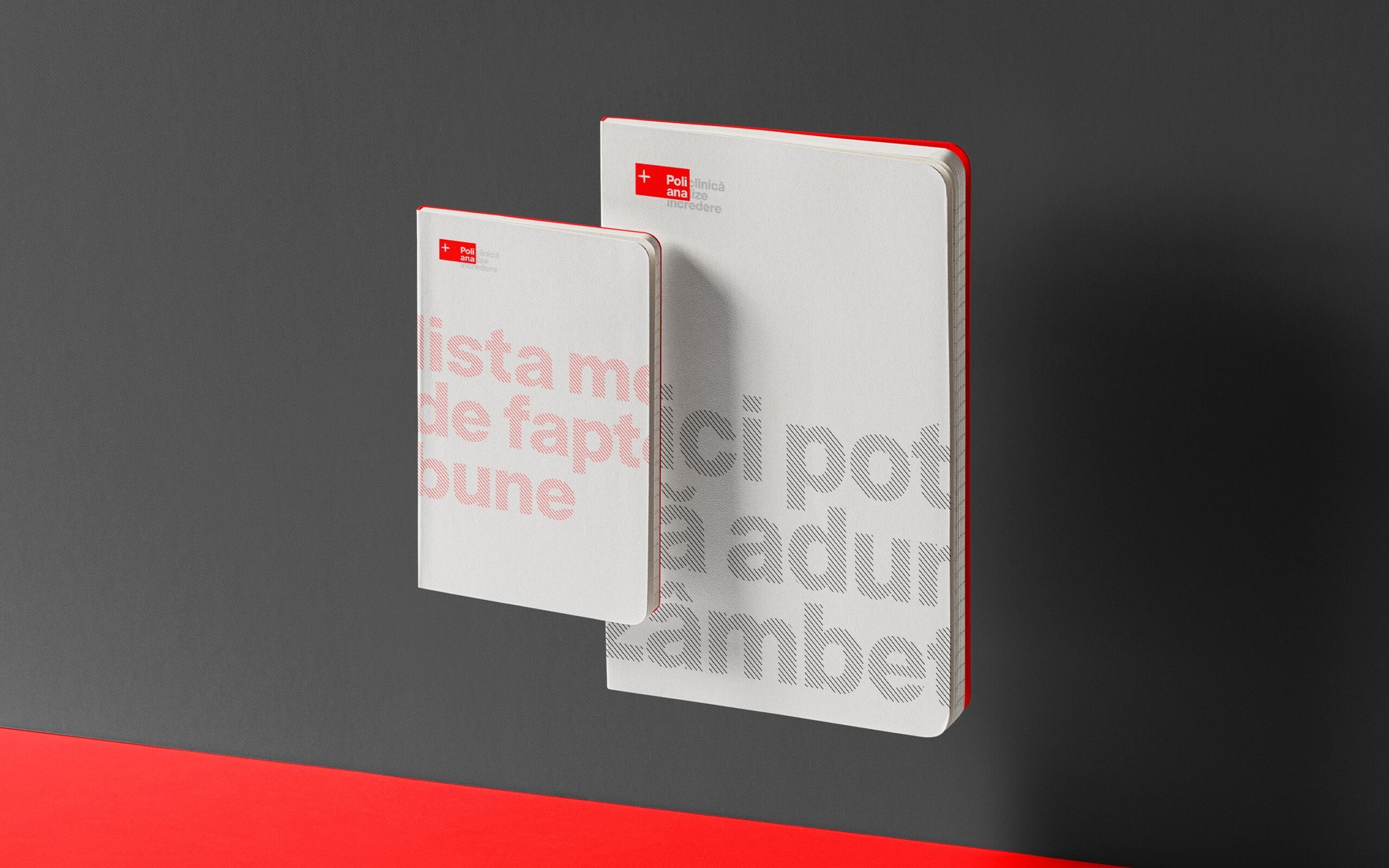 Poliana-Brandient-07