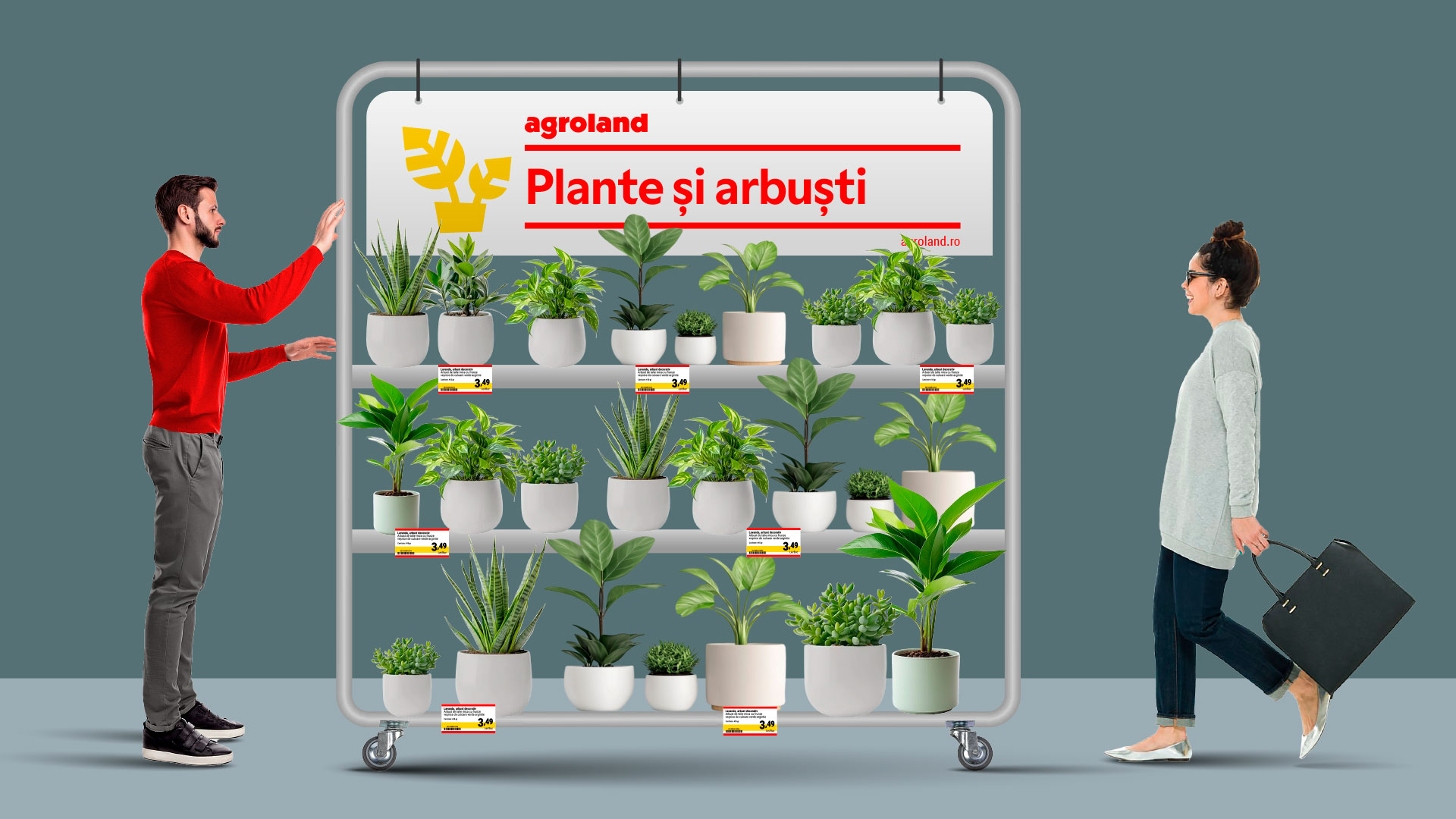 agroland-bweb-13