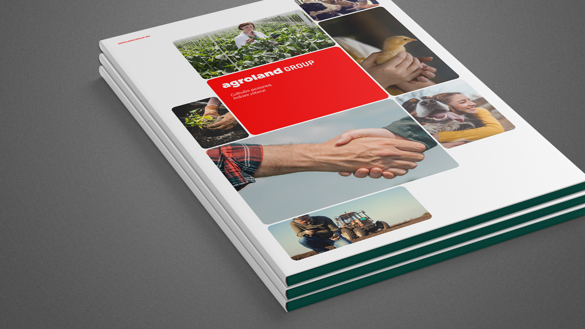 agrolandgroup-bweb-06