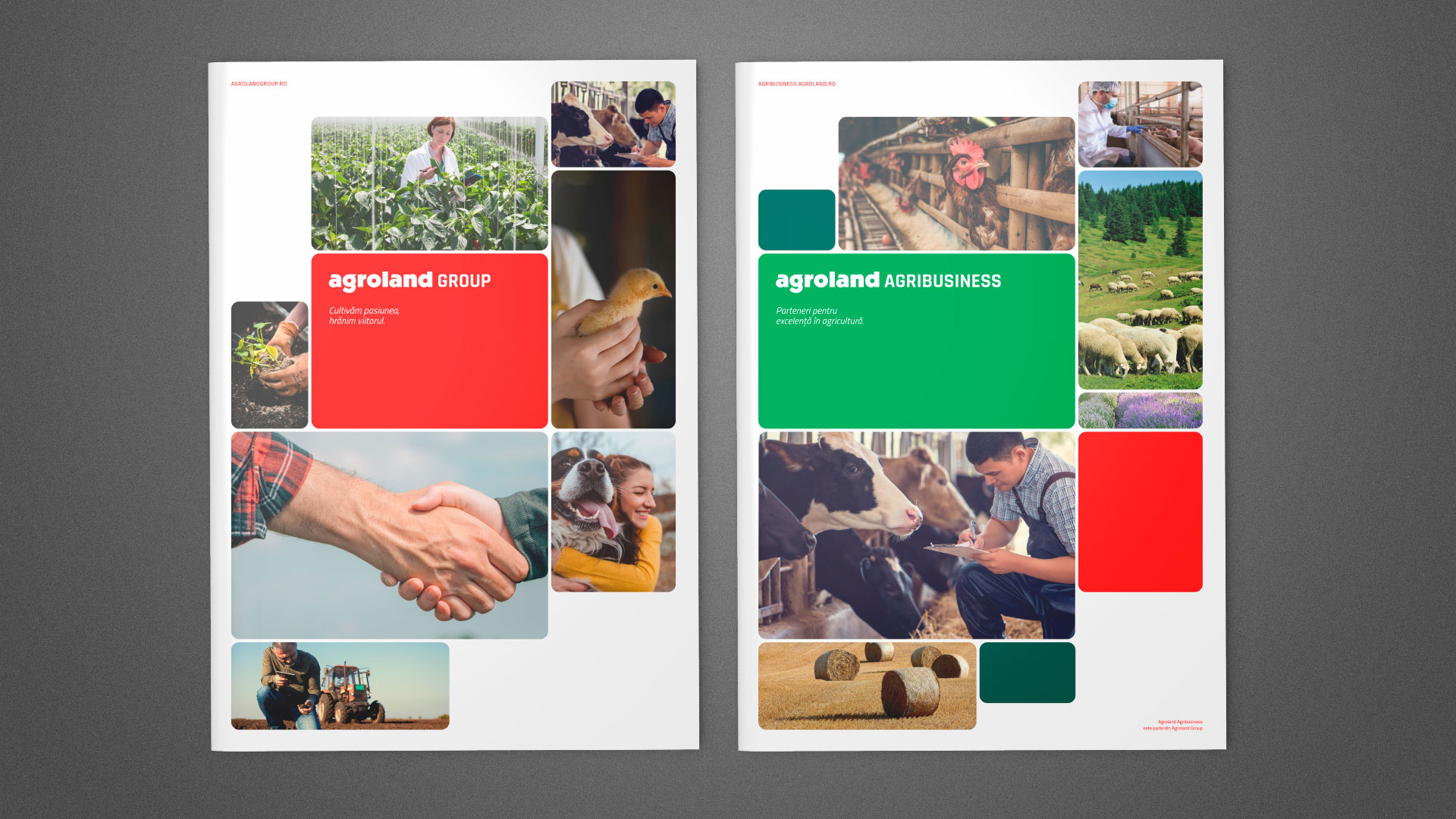 agrolandgroup-bweb-08