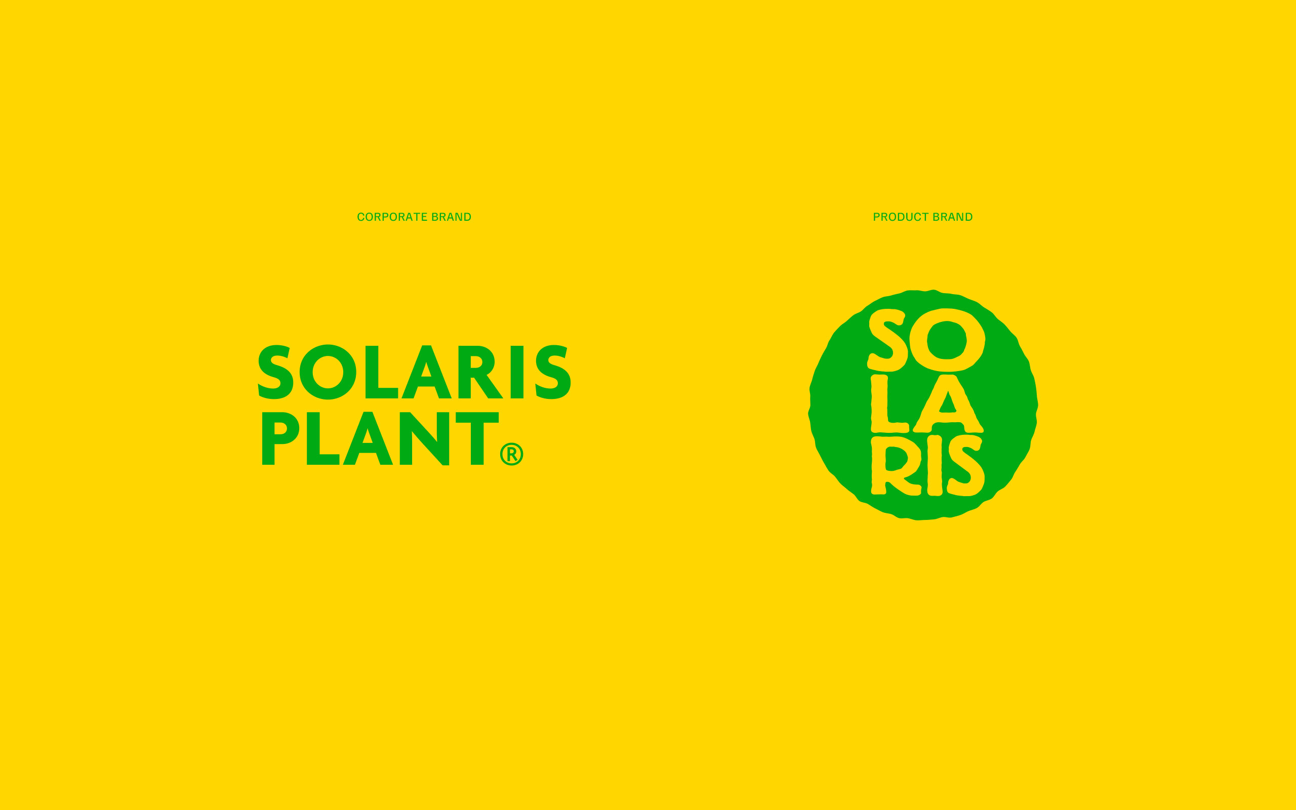 2-Solaris-2025-Corporate-1